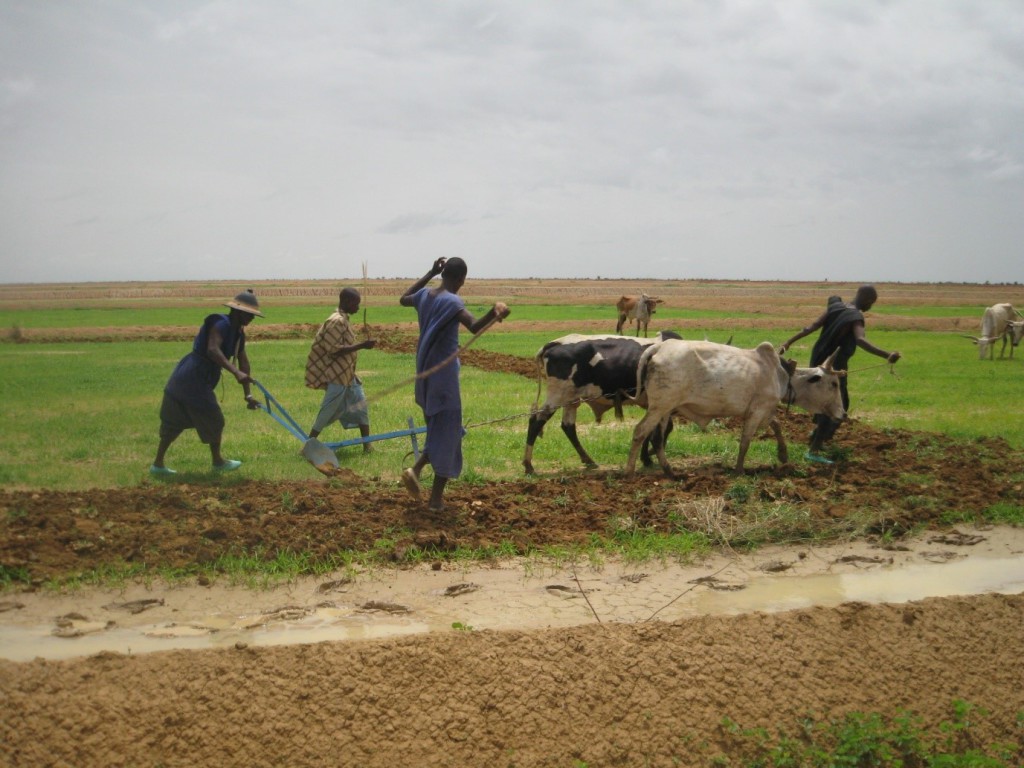 VJW International Development - MCC Mali Evaluation - Water and Irrigation